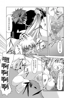 (C74) [TRICKorTREAT (Kagura Tsukune)] InSulT II (Mahou Shoujo Lyrical Nanoha) [Chinese] [靴下汉化组] - page 19