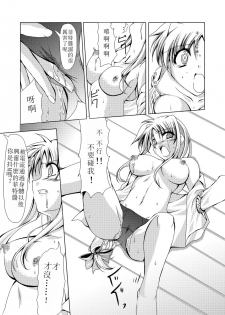 (C74) [TRICKorTREAT (Kagura Tsukune)] InSulT II (Mahou Shoujo Lyrical Nanoha) [Chinese] [靴下汉化组] - page 15