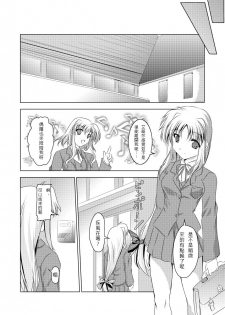 (C74) [TRICKorTREAT (Kagura Tsukune)] InSulT II (Mahou Shoujo Lyrical Nanoha) [Chinese] [靴下汉化组] - page 6