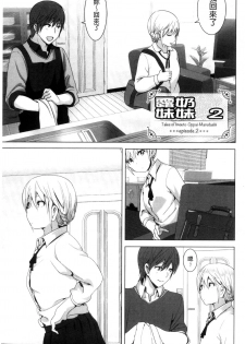 [Nakani] Marudashi x Sister [Chinese] - page 38