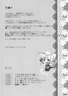 (C80) [16M] Today I will ◎ × to do! (Tohou Project) [Japanese] - page 3