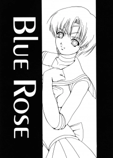 (C61) [Kikka-Shurou (Kikusui)] Blue Rose (Bishoujo Senshi Sailor Moon) - page 3