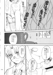 (C78) [MOON RULER (Tsukino Jyogi)] moonruler chronicle .1 (Tsukihime) - page 15