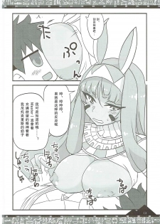 (COMIC1☆11) [BlueMage (Aoi Manabu)] Osuki ni Demasei! | 如君所愿DE MA SEI！ (Fate/Grand Order) [Chinese] [抽爆泳装尼托汉化组] - page 12