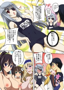 (C80) [Studio Aruta (Kusui Aruta)] IS no Hon (Kari) (IS <Infinite Stratos>) - page 3