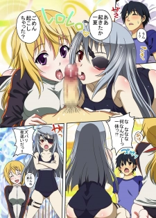 (C80) [Studio Aruta (Kusui Aruta)] IS no Hon (Kari) (IS <Infinite Stratos>) - page 2