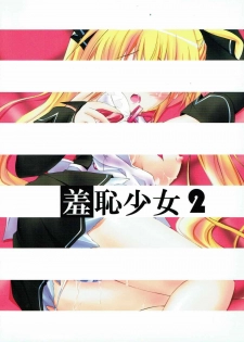 [Yagisaki Ginza (Yagami Shuuichi)] Shuuchi Shoujo 2 (DREAM C CLUB) - page 26