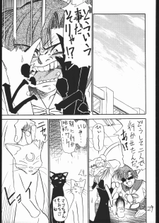 (C44) [V. Hercules (Ookame Toutarou, Sazanami Kazuto)] Mejiro (Bishoujo Senshi Sailor Moon, Genji Tsuushin Agedama) - page 28