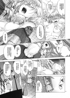 [Toko-ya (HEIZO, Kitoen)] Saint Foire Festival 3 Richildis [Chinese] [翻譯蒟蒻] [Digital] - page 27