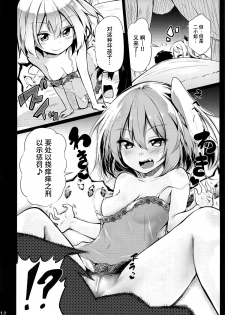 (C92) [Arutana (Chipa)] Flan Onee-chan tte Yobanakya Me (Touhou Project) [Chinese] [脸肿汉化组] - page 12