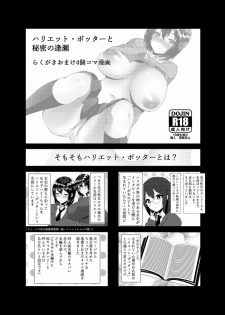 [Sada Gorou] ハリエット・ポッターと秘密の逢瀬 (Harry Porter) - page 22