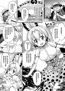 [Studio Aruta (Kusui Aruta)] Friends ga Iru Fuuzoku ga Arutte Hontou desu ka? Sugoi! Kimi wa Koubi ga Tokui na Friends Nanda ne! Hen (Kemono Friends) [Chinese] [脸肿汉化组] [Digital] - page 3
