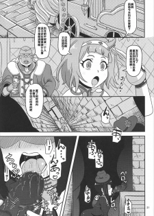 (C92) [HellDevice (nalvas)] Kishou Shoujo Hanbaichuu Nedan Ou Soudan (Rage of Bahamut) [Chinese] [罗洁爱儿个人汉化] - page 20