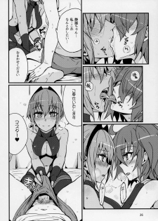 (C92) [Marutori no Chazuke (Torichamaru)] Seihitsu-chan wa Sawareraretai (Fate/Grand Order) - page 25