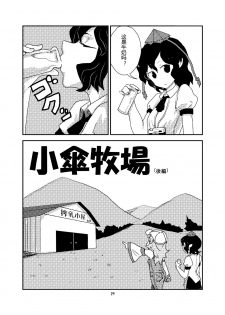 (C84) [Konnyaku Nabe (magifuro Konnyaku)] Koga Ryona (Touhou Project) [Chinese] [yuanzhongwo汉化] - page 28