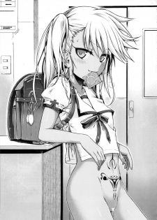 (C92) [40010 1-GO (Shimanto Shisakugata)] Souyuu Reisou+ (Fate/kaleid liner Prisma Illya) - page 24
