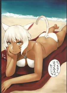 (C90) [Takebouzu (Takepen)] Y'shtola So Sexy 2 (Final Fantasy XIV) - page 4