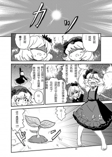 (C84) [Konnyaku Nabe (magifuro Konnyaku)] Koga Ryona Vol. 3 (Touhou Project) [Chinese] [yuanzhongwo渣汉化] - page 21