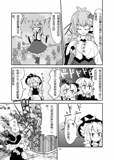 (C84) [Konnyaku Nabe (magifuro Konnyaku)] Koga Ryona Vol. 3 (Touhou Project) [Chinese] [yuanzhongwo渣汉化] - page 26