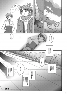 (C81) [InkStone (Amami Ryouko)] HOPE-ACT.02 [Chinese] [旷工汉化组] - page 34