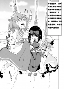 (C87) [02 (Harasaki)] 2P de Shinu Hon | The Dying In 2P Book (Touhou Project) [Chinese] [小海豹个人汉化] - page 19