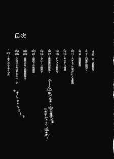 (C87) [02 (Harasaki)] 2P de Shinu Hon | The Dying In 2P Book (Touhou Project) [Chinese] [小海豹个人汉化] - page 3