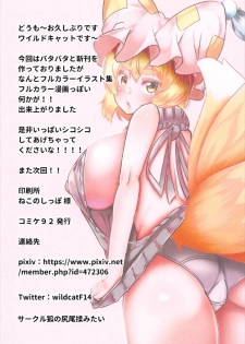 (C92) [Kitsune no Shippo Momitai (Wildcat)] Inran Kitsune kara Nigerarenai (Touhou Project) - page 13