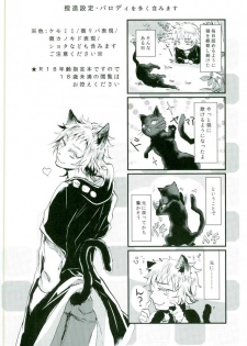(Mekakushidan Katsudou Nisshi 3-satsume) [Kurobuchi (Nmi)] Usotsuki Neko (Kagerou Project) - page 2