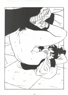 [Tsurikichi Doumei (Various)] Tachibana Shoten Nan Demo-R ~ Ai to Yuuki to Yume to Mubou no Sairoku Hon (Cyber Formula, Tenchi Muyou, G Gundam, Miracle Girls, Slayers) - page 25