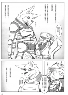 (FF22) [KUMAK] 叛逆英雄 Rebel Hero - page 12