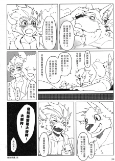 (FF22) [KUMAK] 叛逆英雄 Rebel Hero - page 31