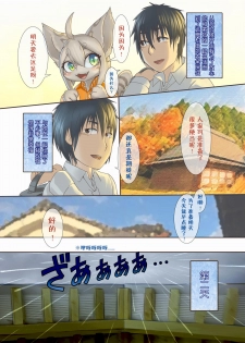 (Kemoket 6) [Tamanokoshi (Tamanosuke)] Uchi no Yome ni wa Shippo ga Atte [Chinese] [肉包汉化组] - page 6