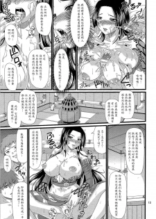 (C80) [ZVIZVA (Forester)] Hebi Hime-sama (One Piece) [Chinese] [魔劍个人汉化] - page 12