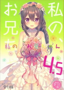 (C92) [TIES (Takei Ooki)] Watashi no, Onii-chan 4.5 Bangaihen