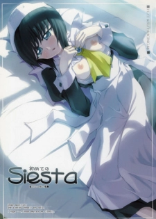 (C71) [FLAT & SLIT RACING 66 (Mu Mu Munou)] Hajimete no Siesta (Zero no Tsukaima)