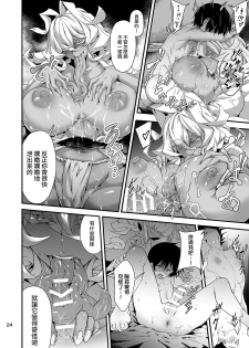 [Kousoku Bitch Network (Tamago Meshi)] Akanameya [Chinese] [沒有漢化][Digital] - page 25