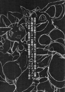 (C91) [Tamanokoshi (tamanosuke)] Nokorimono Niwa Fuku ga Aru !? (Pokémon) - page 3