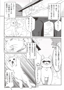 (C77) [Kaminari-neko (Eitarou)] Nyante Kottai! (Nyan Koi!) - page 4