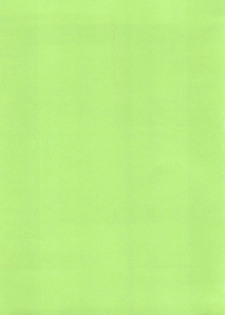 (CR27) [Usagi Youjinbou (Mercy Rabbit)] Bandaikko (Digimon Adventure, Ojamajo Doremi) - page 21