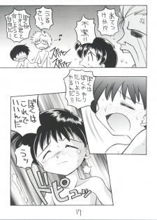 [Sairo Publishing (J. Sairo)] Shinseiki Evangelion Te Yuuka Omedetou Muumin (Neon Genesis Evangelion) - page 17