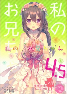 (C92) [TIES (Takei Ooki)] Watashi no, Onii-chan 4.5 Bangaihen [Chinese] [嗶咔嗶咔漢化組] - page 1
