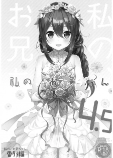 (C92) [TIES (Takei Ooki)] Watashi no, Onii-chan 4.5 Bangaihen [Chinese] [嗶咔嗶咔漢化組] - page 3