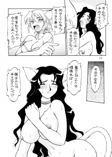 (C53) [Dedepoppo (Ebifly, Neriwasabi)] Uwasa no Neko Shuukai - page 12