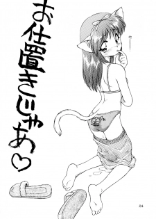 (C53) [Dedepoppo (Ebifly, Neriwasabi)] Uwasa no Neko Shuukai - page 24