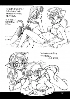 (C53) [Dedepoppo (Ebifly, Neriwasabi)] Uwasa no Neko Shuukai - page 38