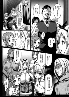 (C92) [Aodouhu (Neromashin)] Houjou no Reizoku Elf 3 [Chinese] [final個人漢化] - page 7