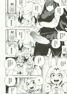 (FF30) [Bear Hand (Fishine, Ireading)] BEAST FRIENDS (Kemono Friends) [Chinese] - page 4