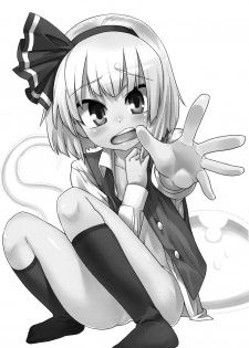 (C79) [Youmusya (Gengorou)] Honban Nashide!! (Touhou Project) [Chinese] [靴下汉化组] - page 4