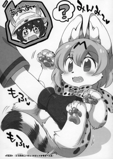 (Japariket 3) [Sarasara Chazuke (Various)] Yuri Ecchihou (Kemono Friends) - page 46