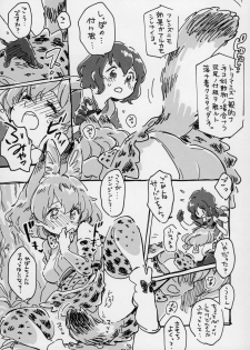 (Japariket 3) [Sarasara Chazuke (Various)] Yuri Ecchihou (Kemono Friends) - page 18